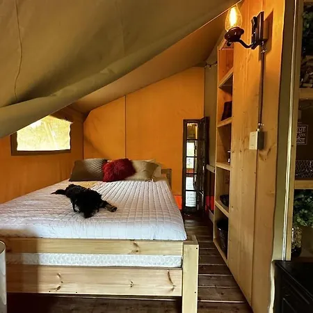 12 Fires Luxury Glamping With Heating #5 Hotel Johnson City Exterior photo