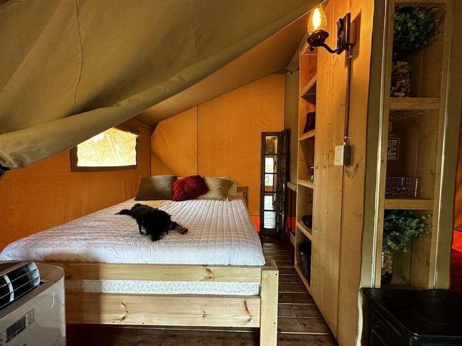 12 Fires Luxury Glamping With Heating #5 Luxury tent